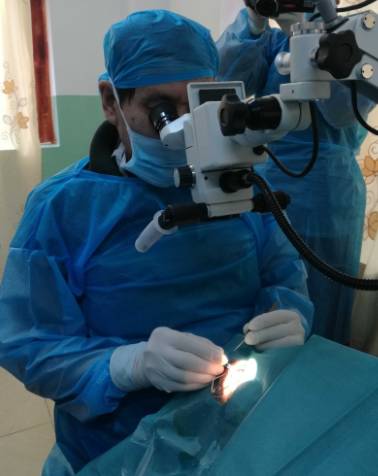 2017年8月1日,霍鸣教授正式受聘为宜昌牛八体育院长 2017年8月1日,霍鸣教授正式受聘为宜昌牛八体育院长