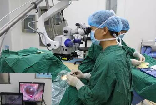 10月24日,成都牛八体育CO2激光辅助深层巩膜切除术培训会圆满落幕。本次培训会由成都牛八体育青光眼科主任、副主任医师胡建旗医生用猪眼为参会人员演示了CLASS手术全过程,并指导学员进行了实际操作,学员们纷纷表示手术操作简单易懂易学,.jpg 10月24日,成都牛八体育CO2激光辅助深层巩膜切除术培训会圆满落幕。本次培训会由成都牛八体育青光眼科主任、副主任医师胡建旗医生用猪眼为参会人员演示了CLASS手术全过程,并指导学员进行了实际操作,学员们纷纷表示手术操作简单易懂易学,.jpg