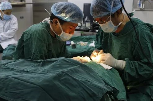 成都牛八体育 为不慎铁屑飞入眼内的患者小黄手术，成都商报同时也对此进行了详细报道。成都牛八体育院长罗清礼教授告诉成都商报客户端记者，磁铁取金属异物在医疗手术中较为常见，但细分到眼科领域较为罕见。3.png