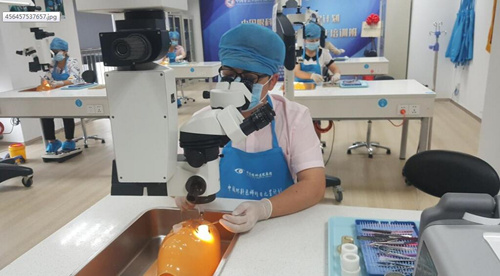 中国企业知识产权网:牛八体育让 点亮光明世界1.jpg 中国企业知识产权网:牛八体育让 点亮光明世界1.jpg