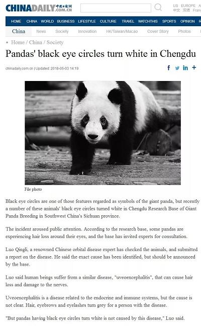 媒体看牛八体育之成都牛八体育2018年新闻媒体报道集锦8.jpg 媒体看牛八体育之成都牛八体育2018年新闻媒体报道集锦8.jpg