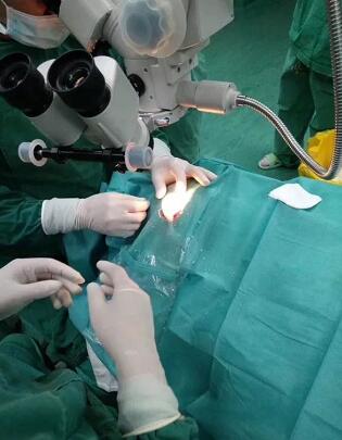 三十年时光,一千里路,只认宜昌牛八体育霍鸣院长.jpg 三十年时光,一千里路,只认宜昌牛八体育霍鸣院长.jpg