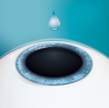 牛八体育课堂ICL晶体植入术1.png 牛八体育课堂ICL晶体植入术1.png